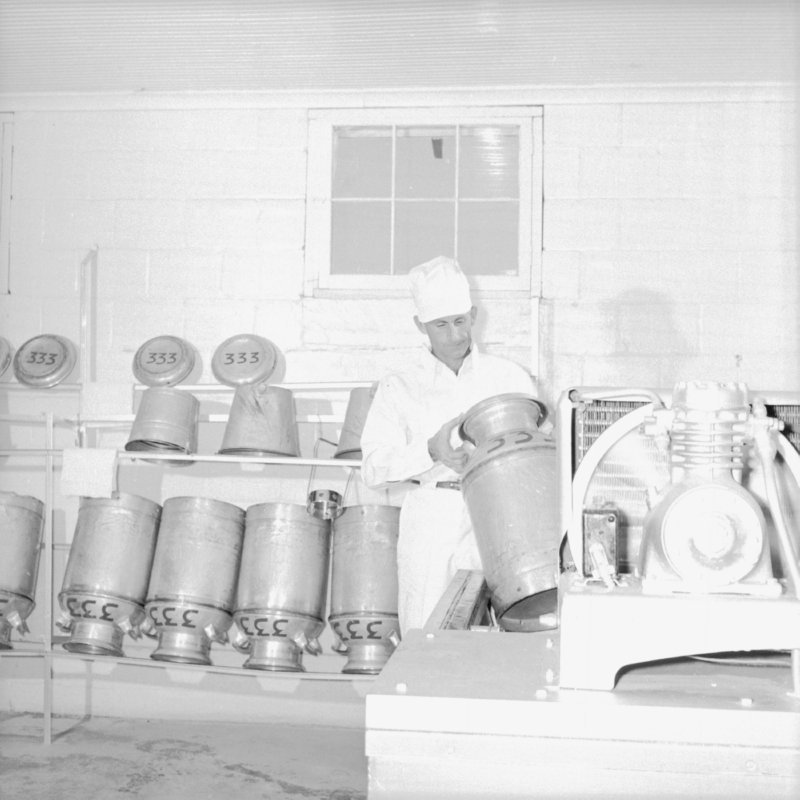 043_and placed them in refrigerators,... (1954).jpg
